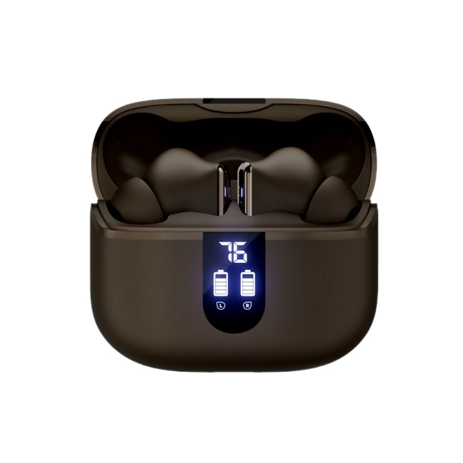 boAt Airdopes 181 Pro TWS EarBuds