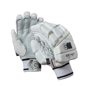 Cricket Gloves